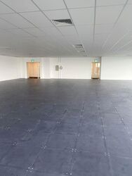 Woodlands Avenue 5 (D25), Office #568698281
